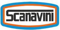 SCANAVINI